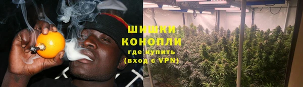 метадон Гусиноозёрск