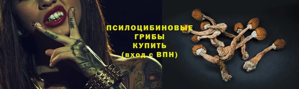 ПСИЛОЦИБИНОВЫЕ ГРИБЫ Горно-Алтайск