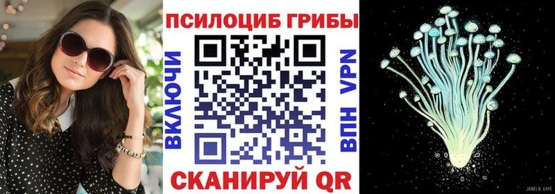 купить наркотик  Дальнереченск  Галлюциногенные грибы MAGIC MUSHROOMS 