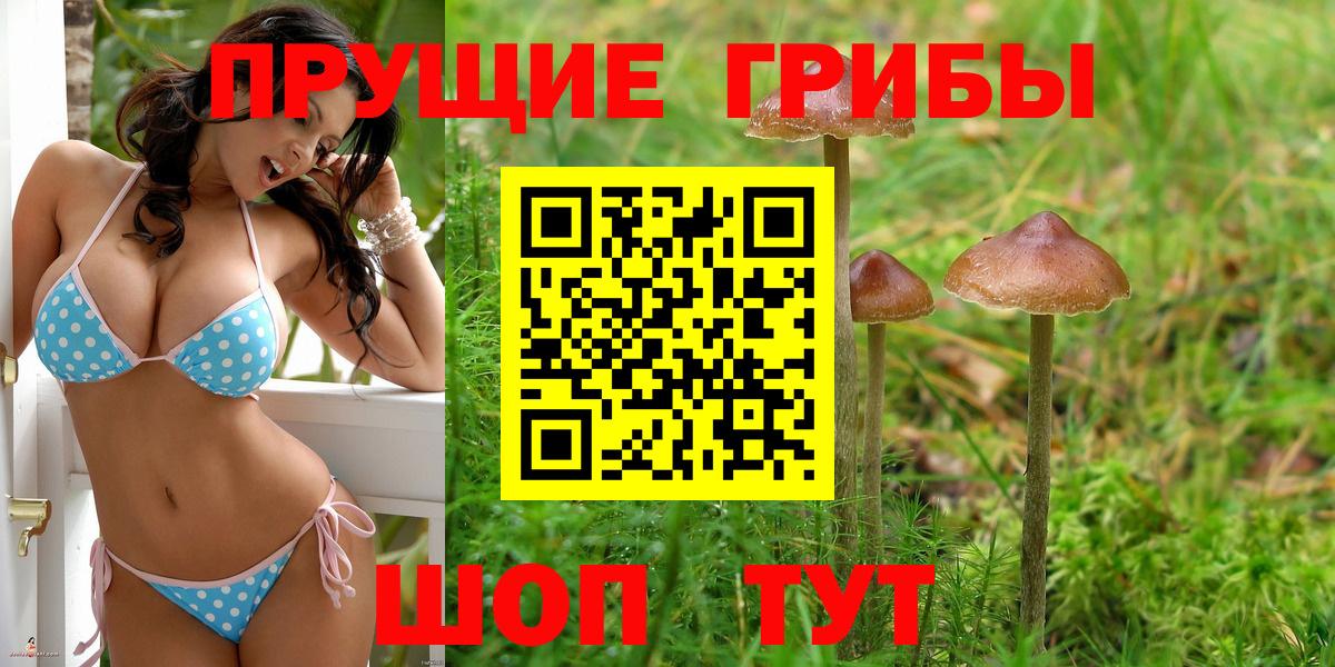 Псилоцибиновые грибы Cubensis Дальнереченск